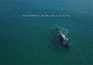 village praia do rosa