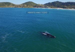 village praia do rosa