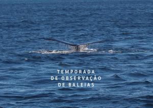 village praia do rosa