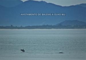 village praia do rosa