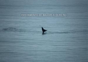 village praia do rosa