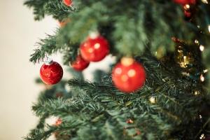 Hotel Le Plaza Brussels,Brussels-Capital Region>>Brussels,5 star