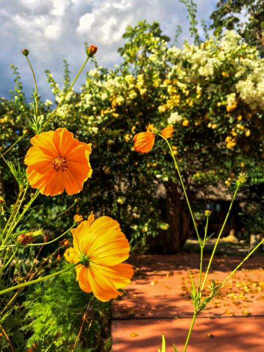 alto paraiso de goias