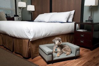 Centro Motel,Alberta>>Calgary,3 star