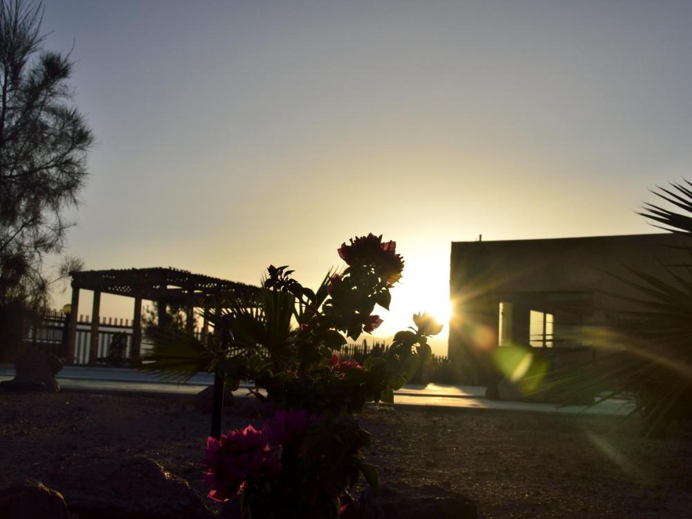 southern star club