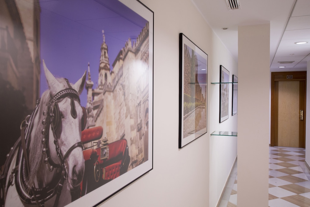 hotel cordoba centro