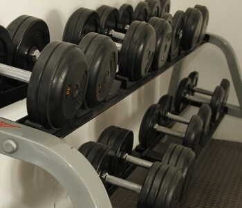 elite 47 hotel and suites