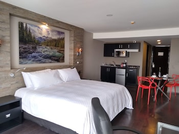 elite 47 hotel and suites