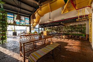 Mayan Monkey Cancun - Adults Only,Quintana Roo>>Cancun,3 star