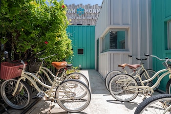 mayan monkey cancun adults only