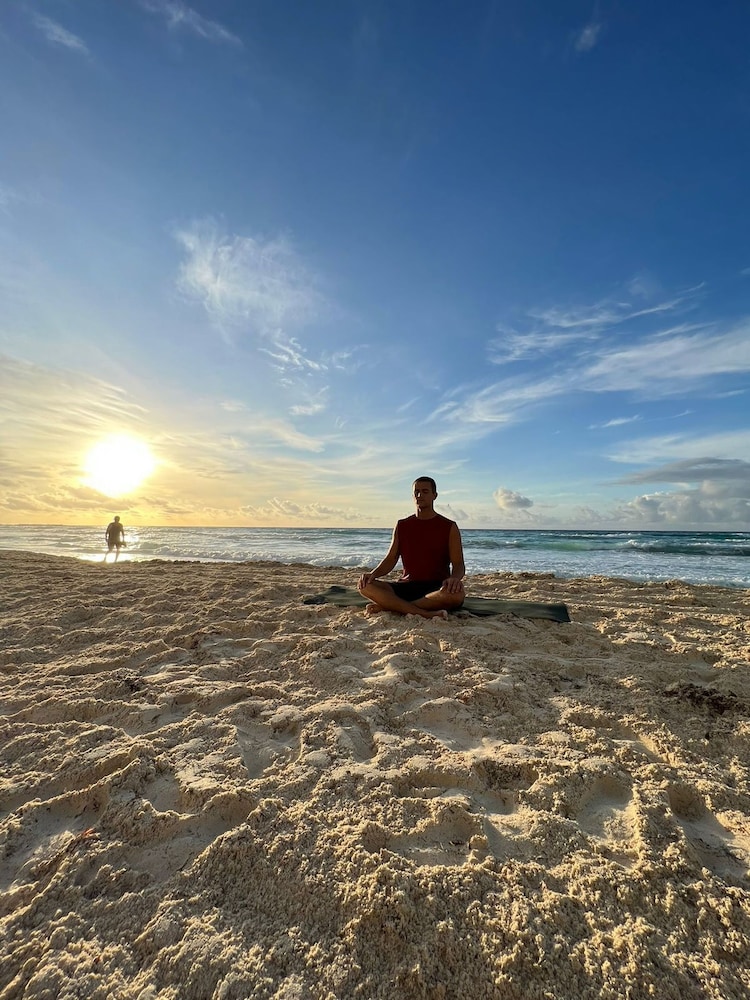 mayan monkey cancun adults only