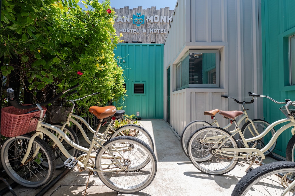 mayan monkey cancun adults only