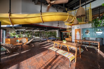 mayan monkey cancun adults only