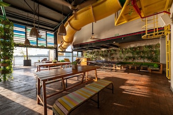 mayan monkey cancun adults only