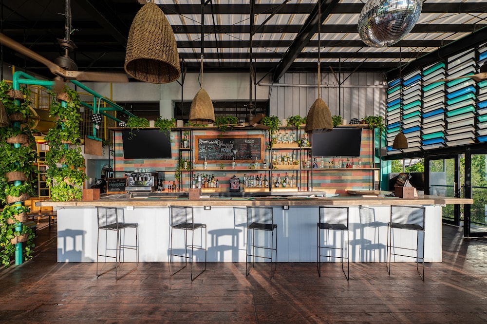 mayan monkey cancun adults only