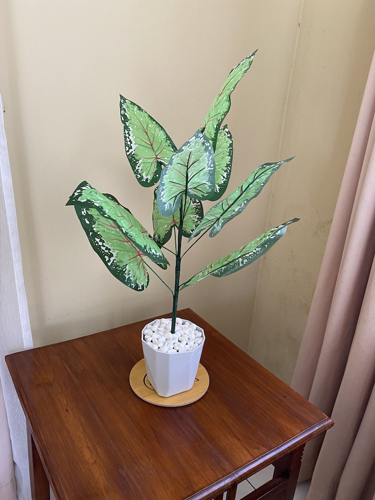 rumbia resort villa paka terengganu