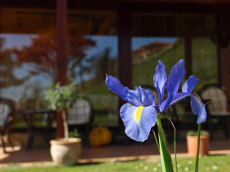 Hotel Casa Camila,Colloto>>Asturias,3 star