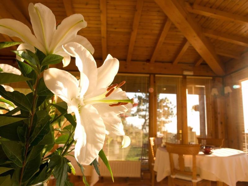 Hotel Casa Camila,Colloto>>Asturias,3 star