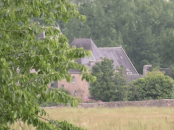 la foret fouesnant