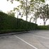 the park nine hotel suvarnabhumi