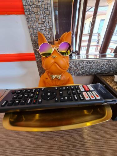 elegancy resort hua hin