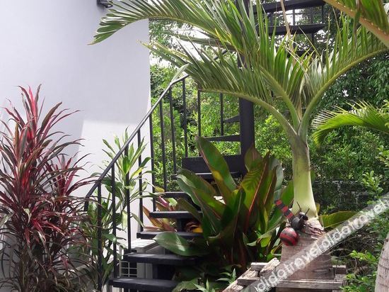 baanmee phuket sha plus