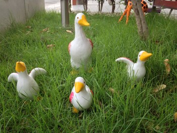 friends house resort