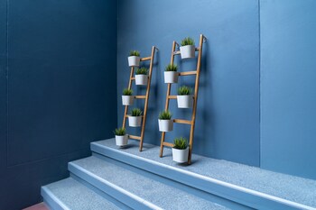 ploen place residence