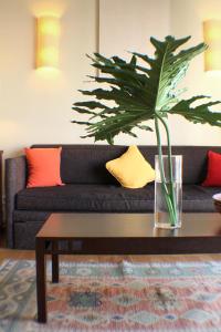 art suites