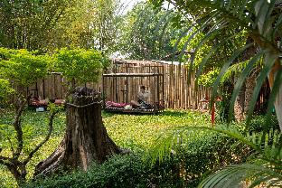 Mad Monkey Pai,Ban Thung Yao>>Pai,1 star