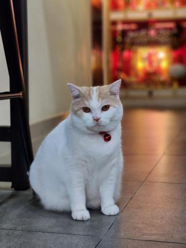 Double D Rooms & Cafe,Bangkok Noi>>Bangkok,3 star