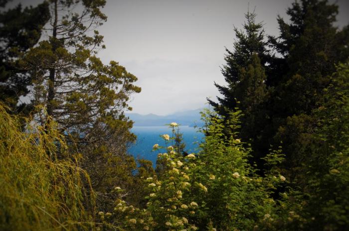 aldea andina hotel and spa