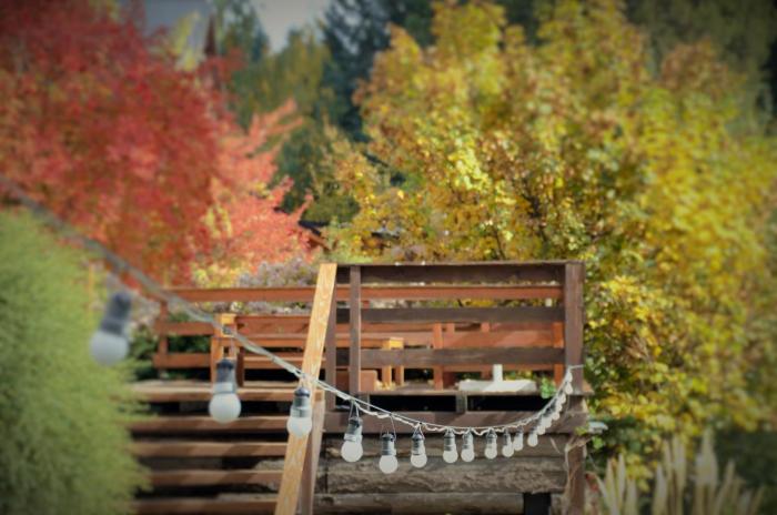 aldea andina hotel and spa