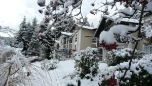 Aldea Andina Hotel & Spa,Rio Negro>>San Carlos De Bariloche,4 star