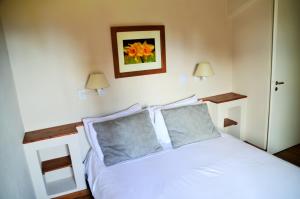 aldea andina hotel and spa