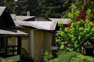 aldea andina hotel and spa