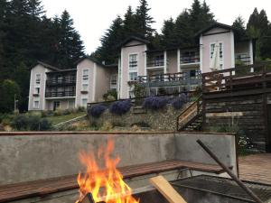 aldea andina hotel and spa