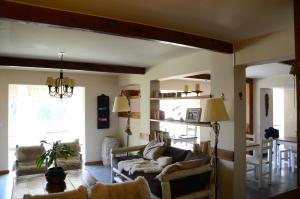 aldea andina hotel and spa