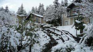 aldea andina hotel and spa