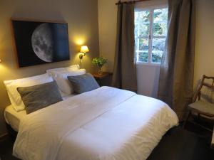 aldea andina hotel and spa