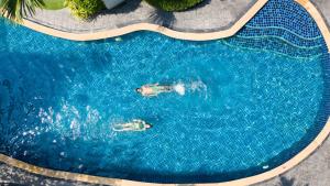 Wisdom Hotel & Residence,Rayong Province>>Rayong,4 star