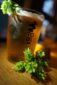 Brauhotel Bonn,Cologne>>Bonn,3 star