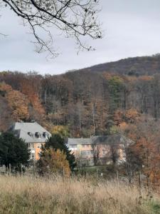 Jufa Hotel Königswinter/Bonn,Cologne>>Bonn,4 star