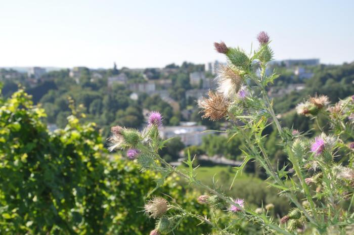 schroeders wein style hotel