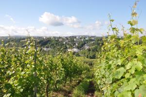 schroeders wein style hotel