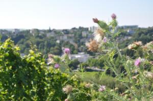 schroeders wein style hotel