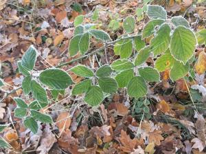 alwine landhaus an den spreewiesen