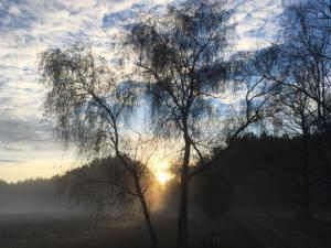 alwine landhaus an den spreewiesen