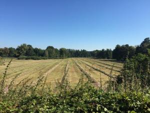 alwine landhaus an den spreewiesen