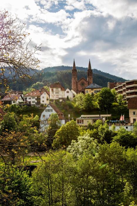 das waldhaus